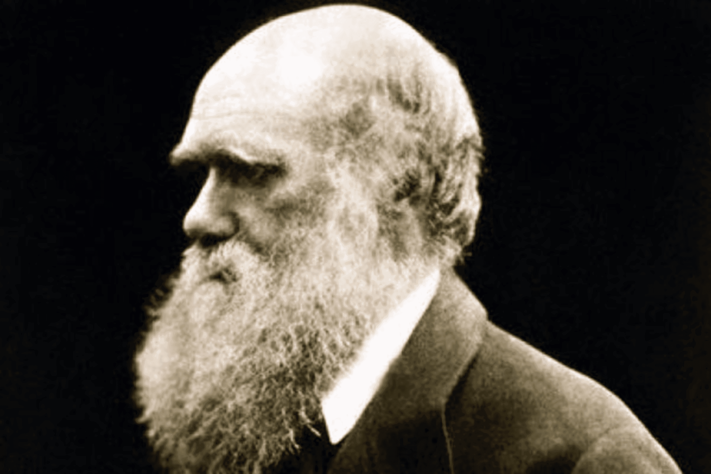 6715130631_b88a2103fc_o.png