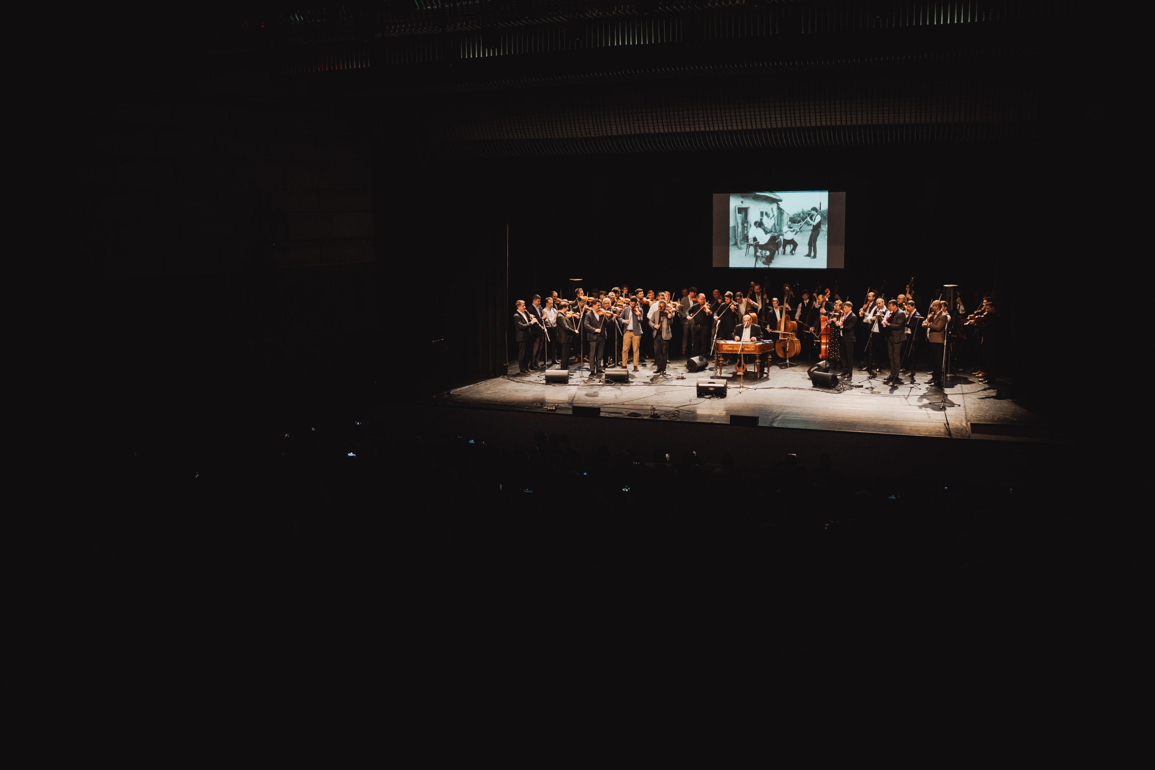 DSC08609.jpg