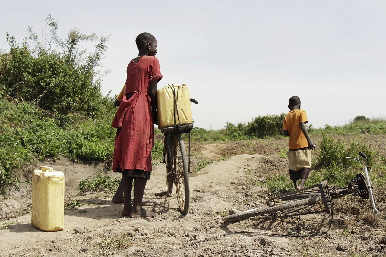 africa-2665100_1280.jpg