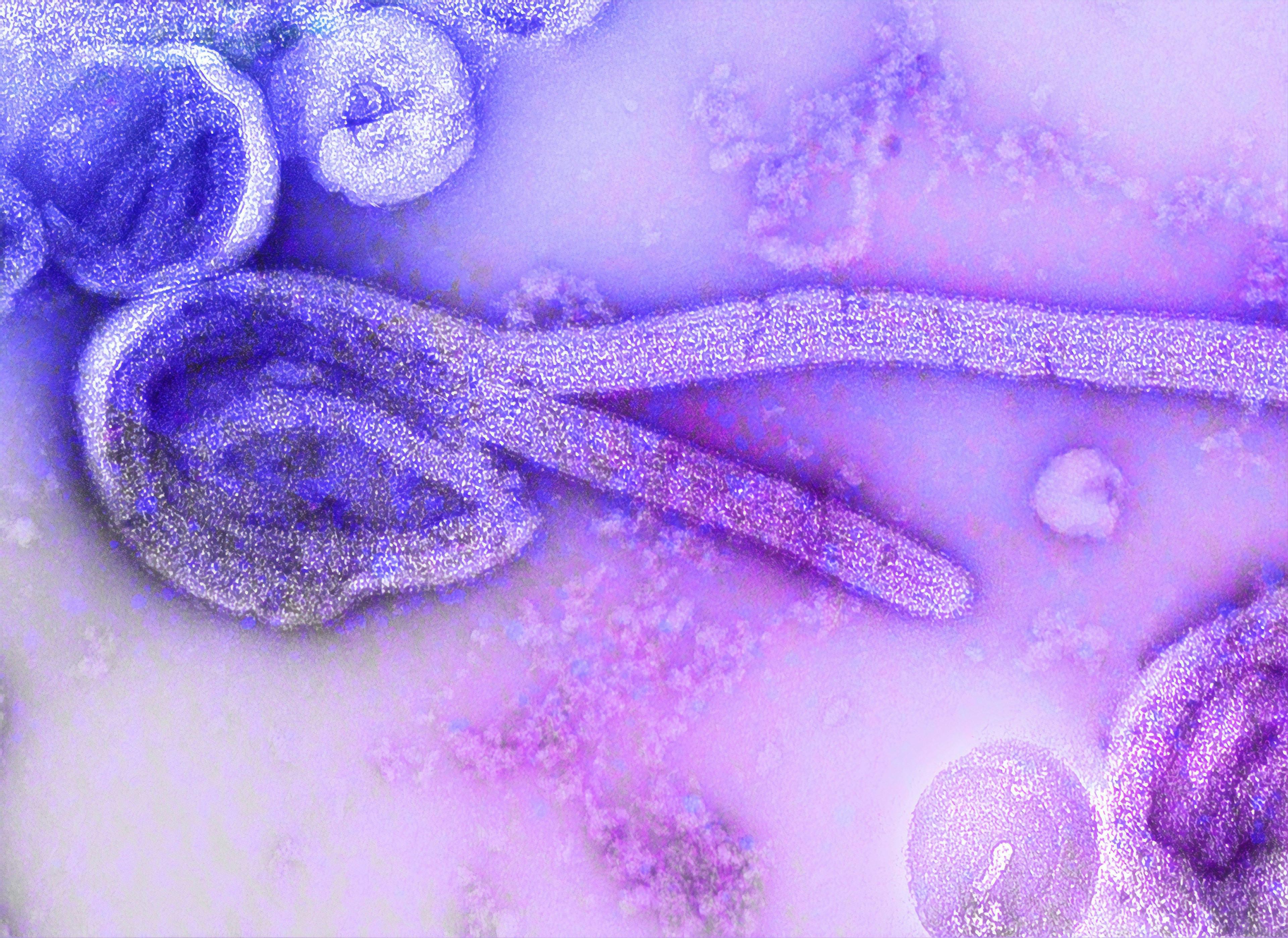 cdc-7CQFCHoFL-o-unsplash.jpg