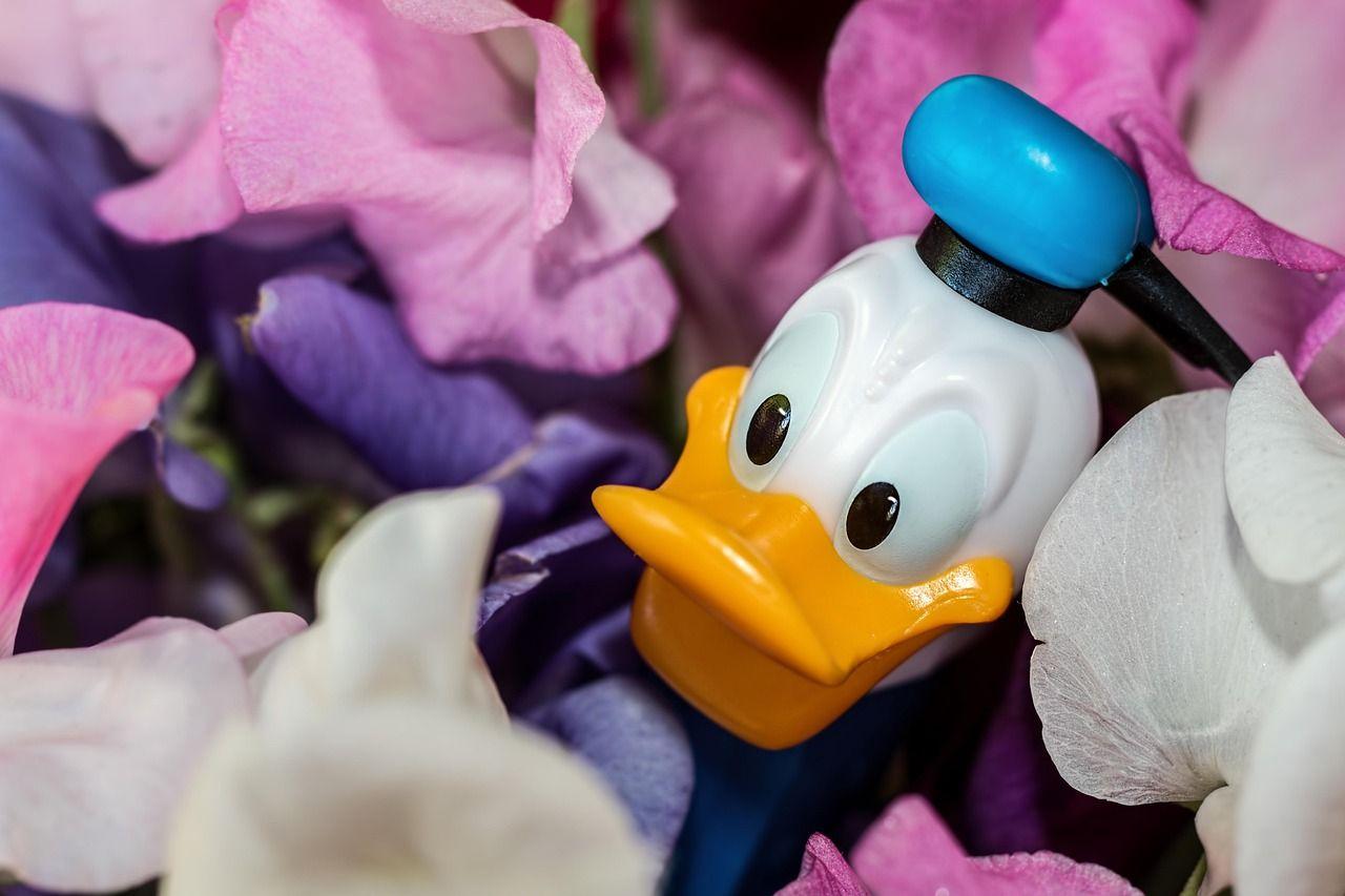 donald-duck-973226_1280.jpg