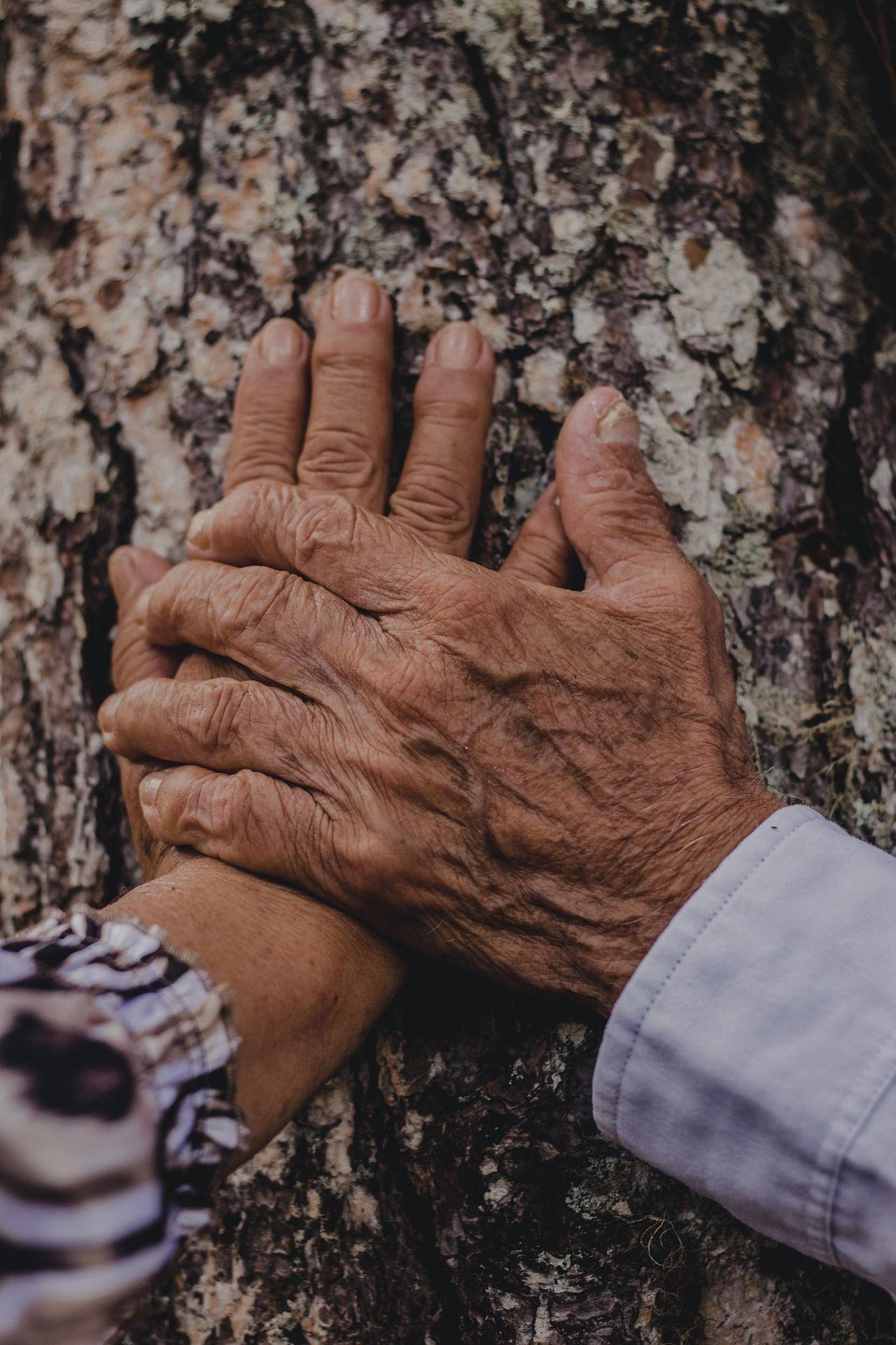 hand-7566739_1920.jpg