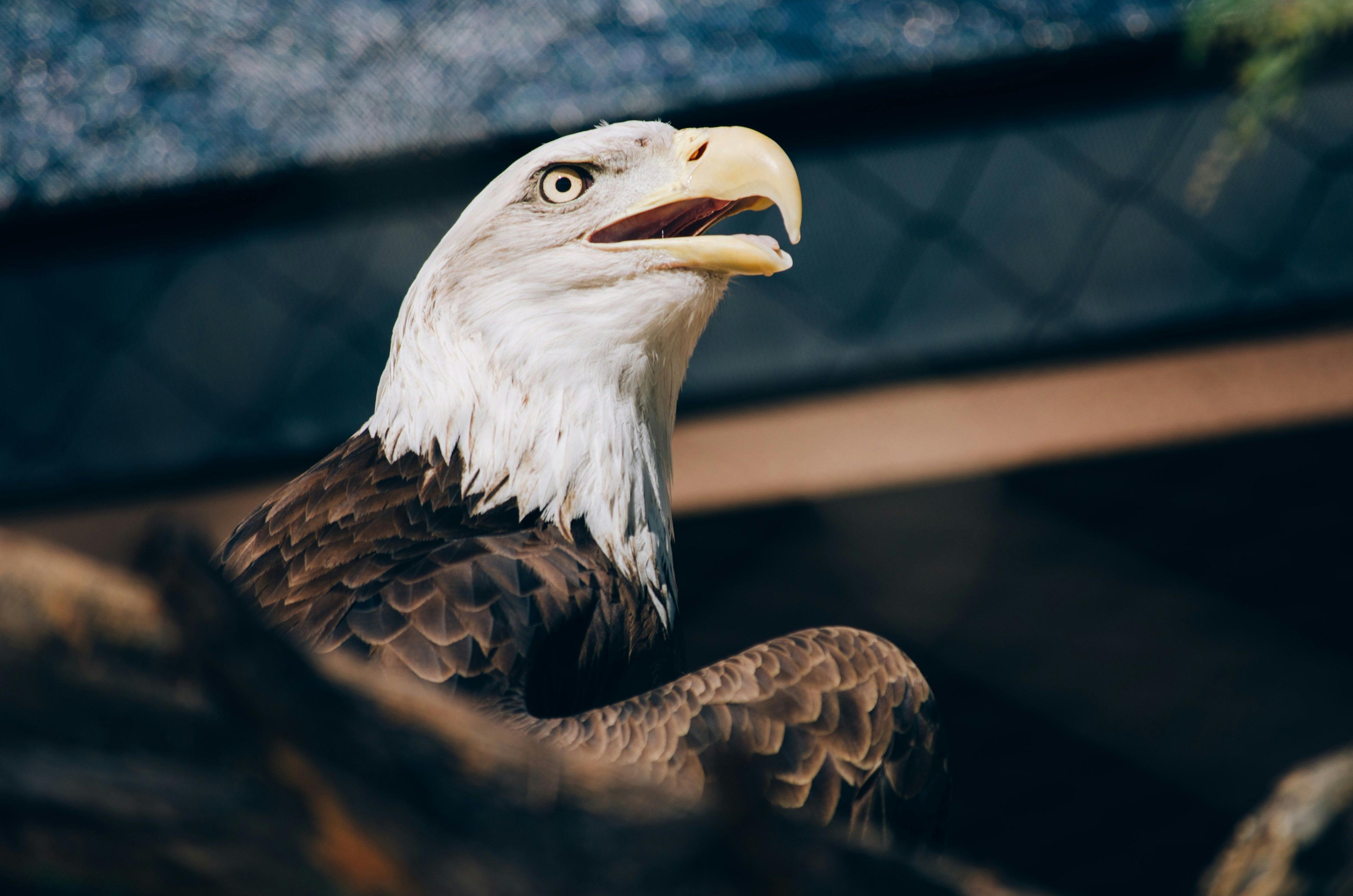 photo-person-VpPqxgoRpu4-unsplash.jpg