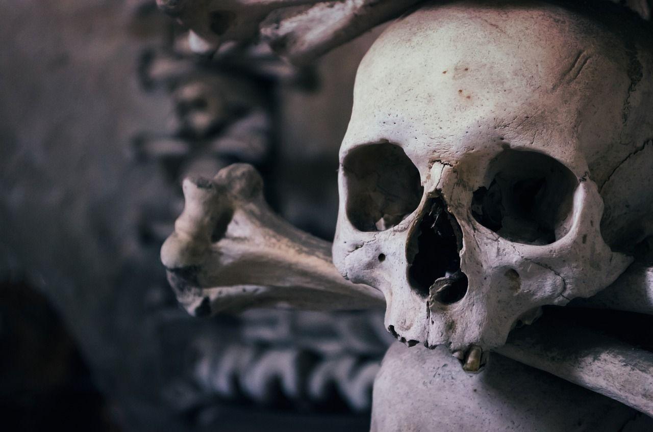 skull-726253_1280.jpg