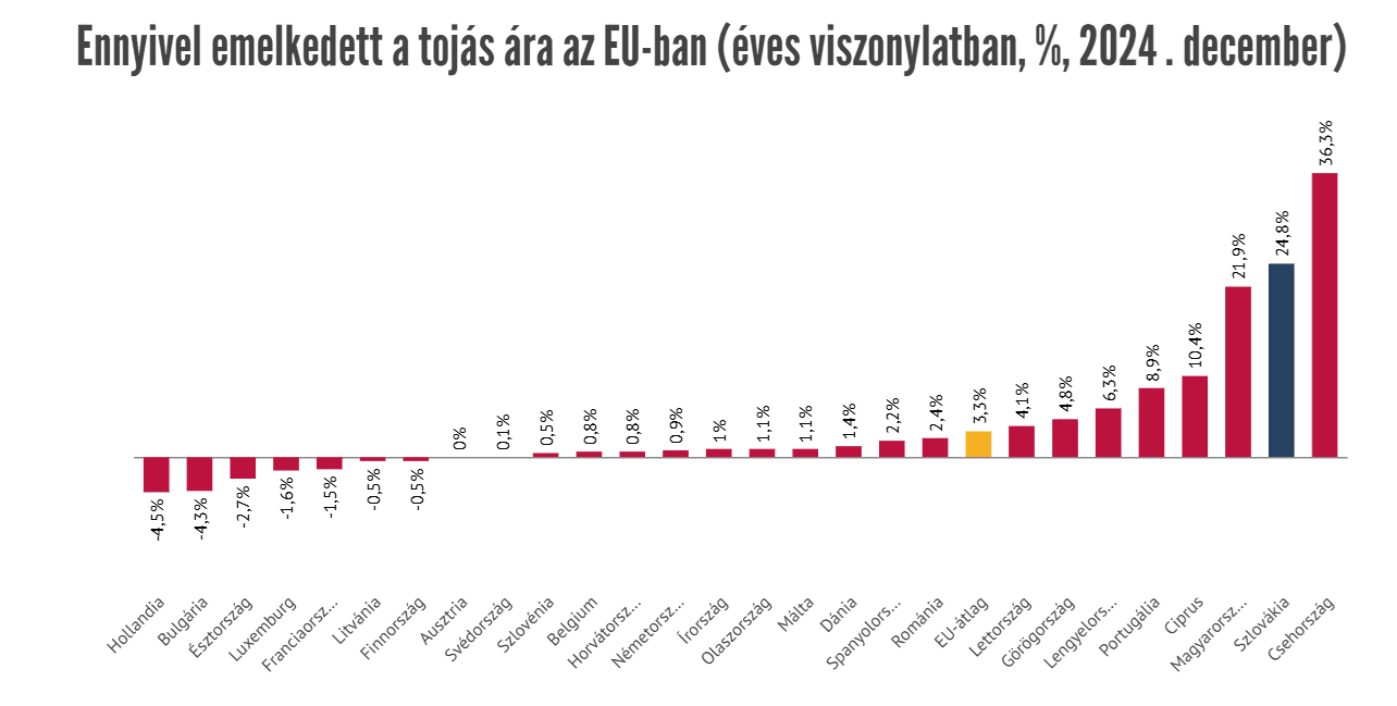 tojás.png