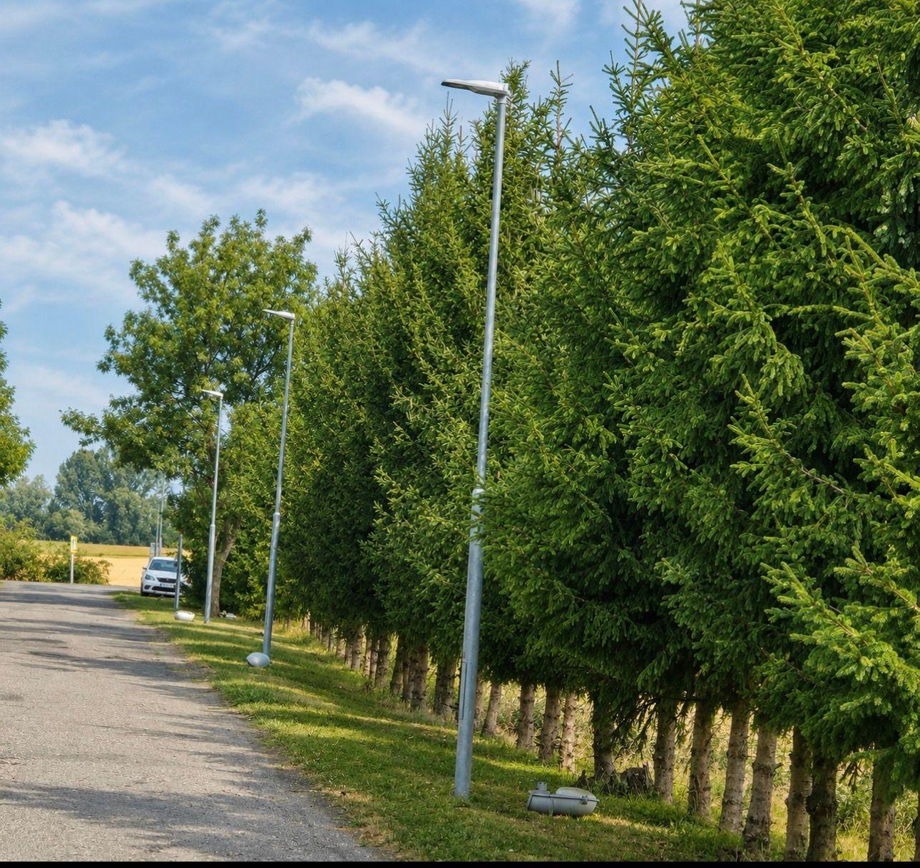 Lampa1.jpg