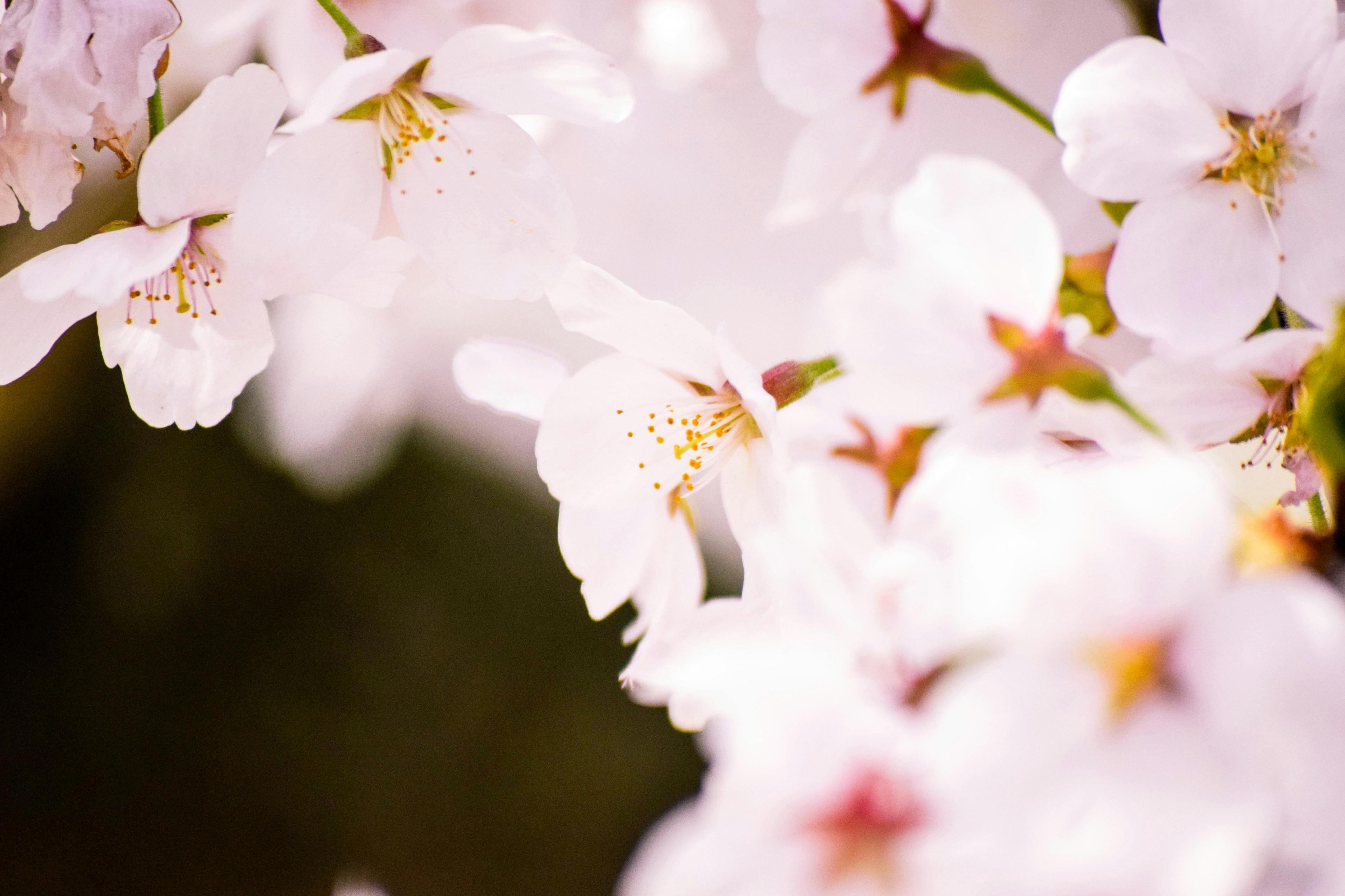 illusztráció1-unsplash.jpg
