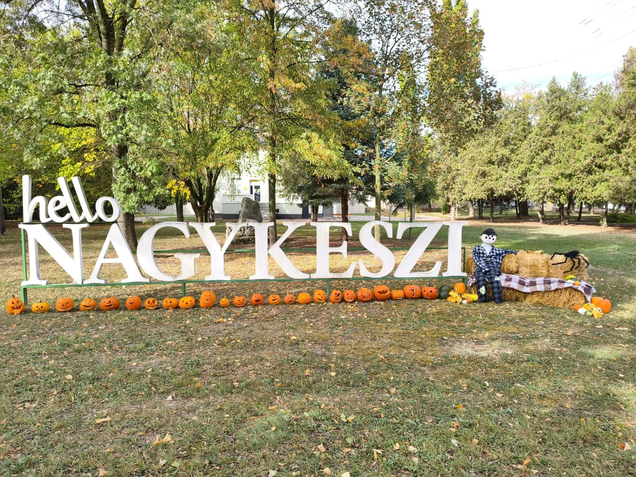 image1.jpeg