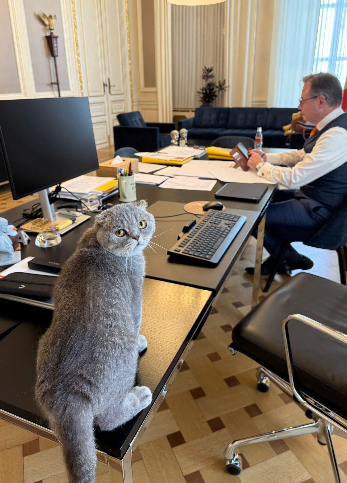maximus textoris pulcher a gazdájával - facebook.jpg