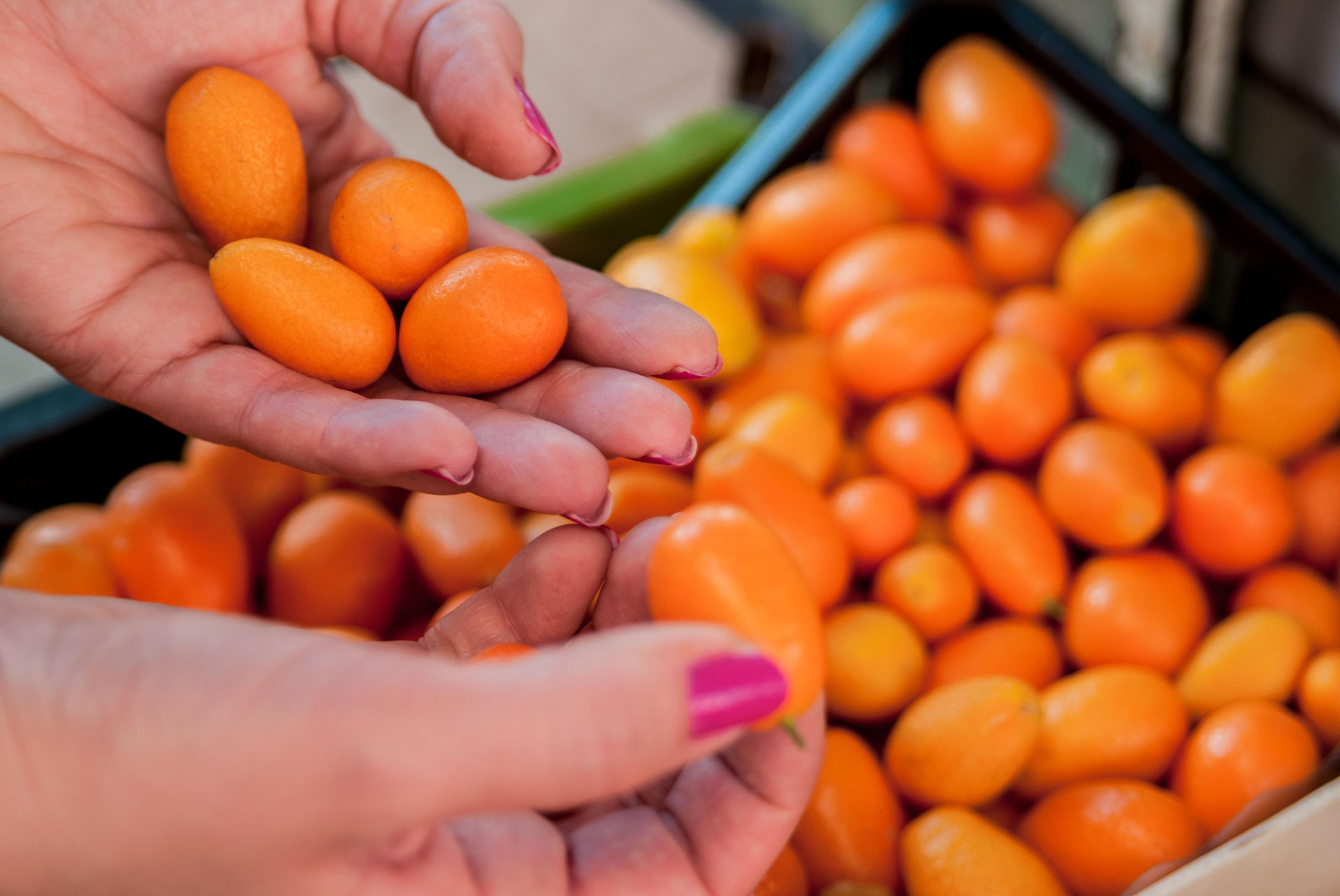 woman-holding-heap-kumquat-woman-buying-fruits-vegetables-local-food-market-market-stall-with-variety-organic-fruits.jpg